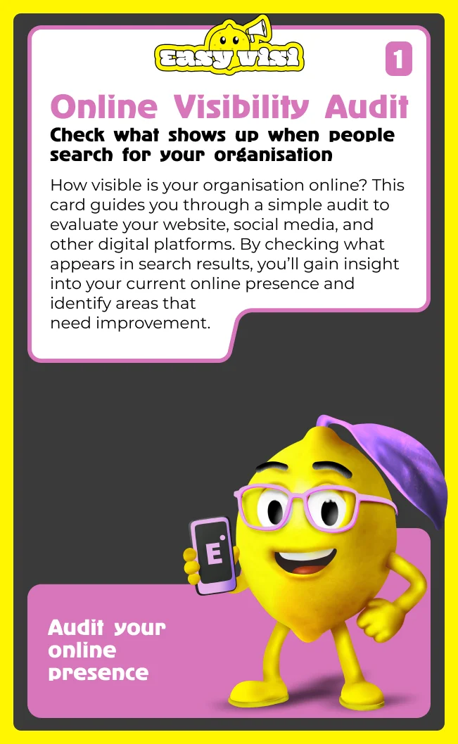 Online Visibility Audit